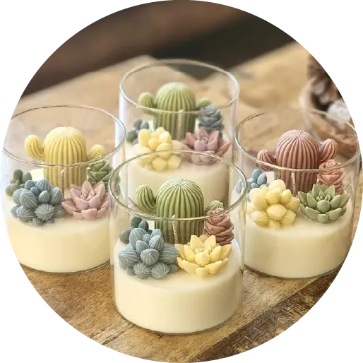 Velas cactus suculentas