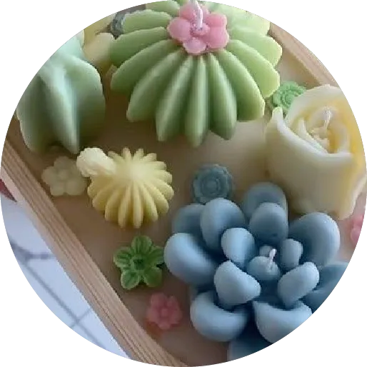 Set cactus pastel